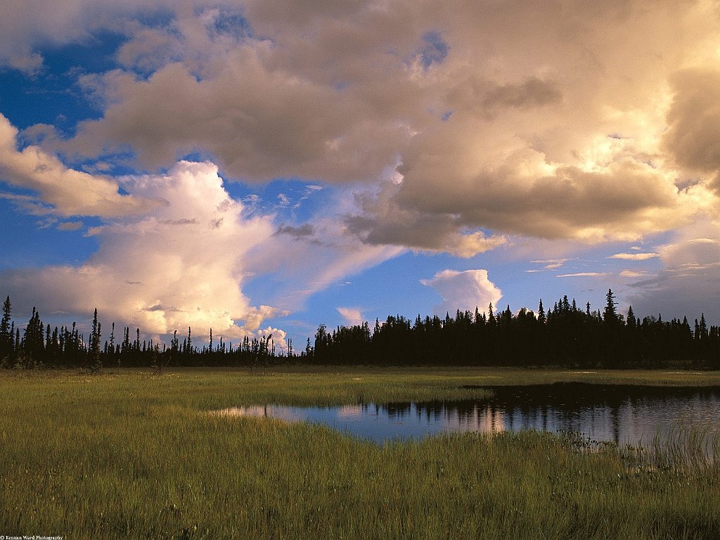 Kettle Pond Interior, Alaska